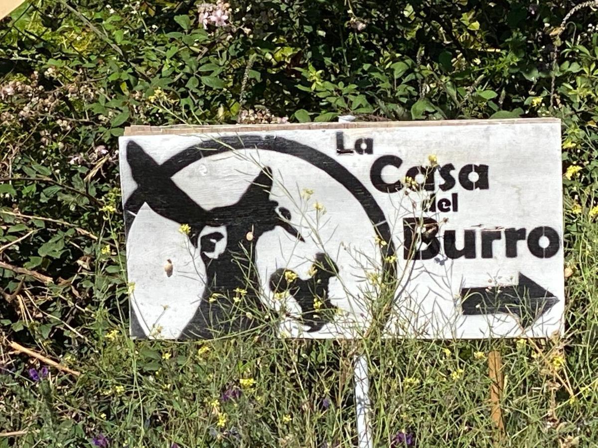 La Casa Del Burro Bed and Breakfast Nerja Exteriör bild