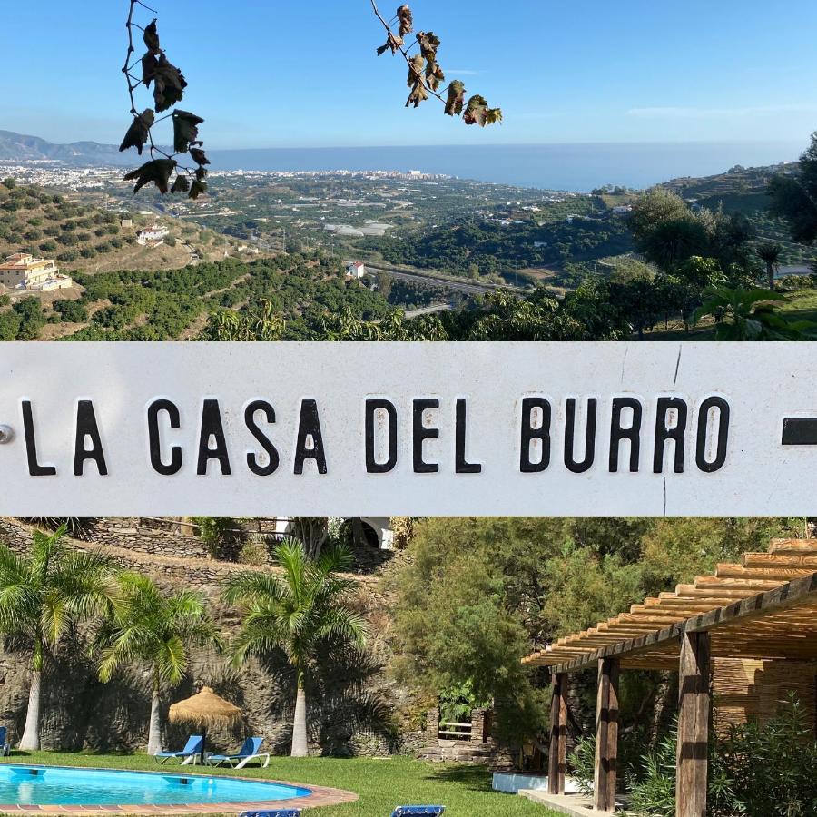 La Casa Del Burro Bed and Breakfast Nerja Exteriör bild