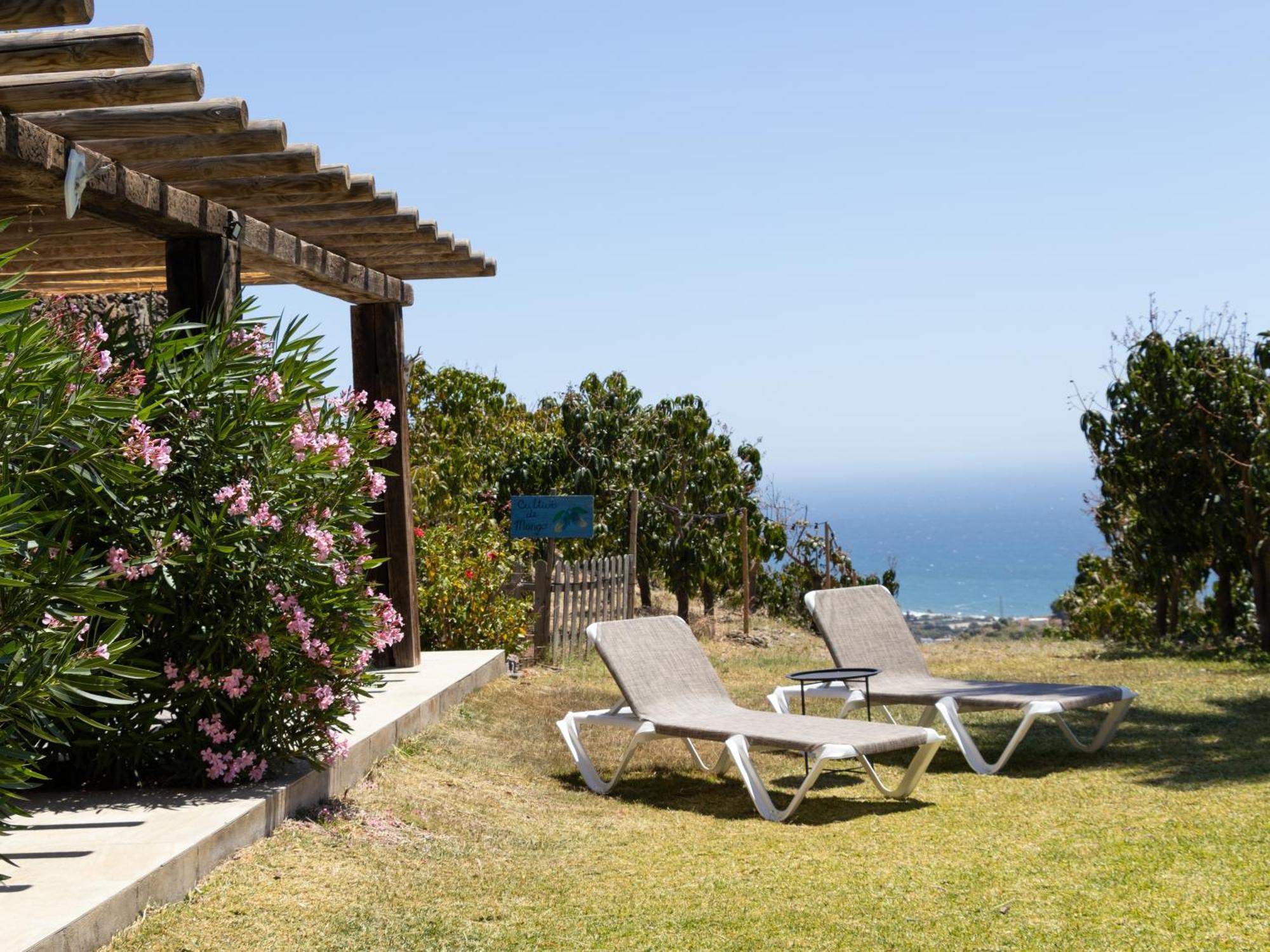 La Casa Del Burro Bed and Breakfast Nerja Exteriör bild