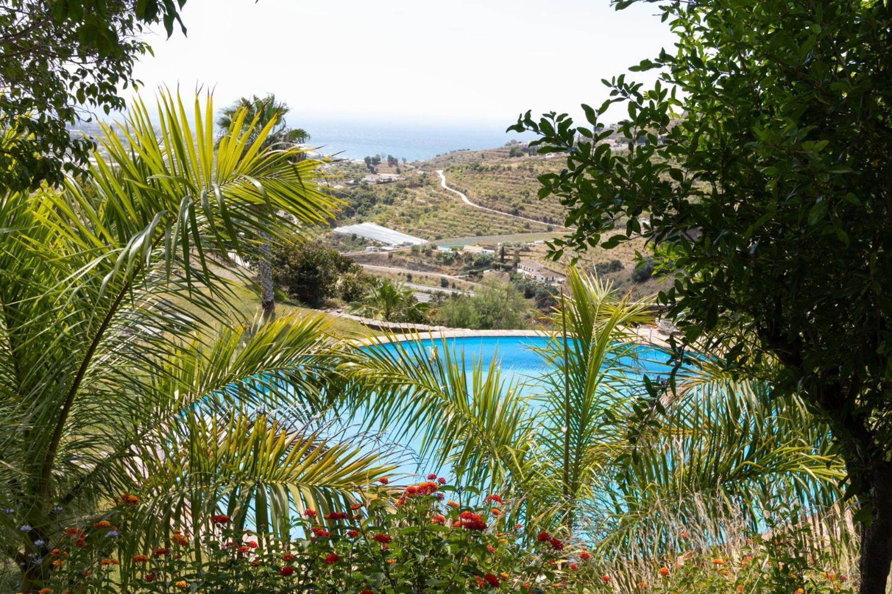 La Casa Del Burro Bed and Breakfast Nerja Exteriör bild