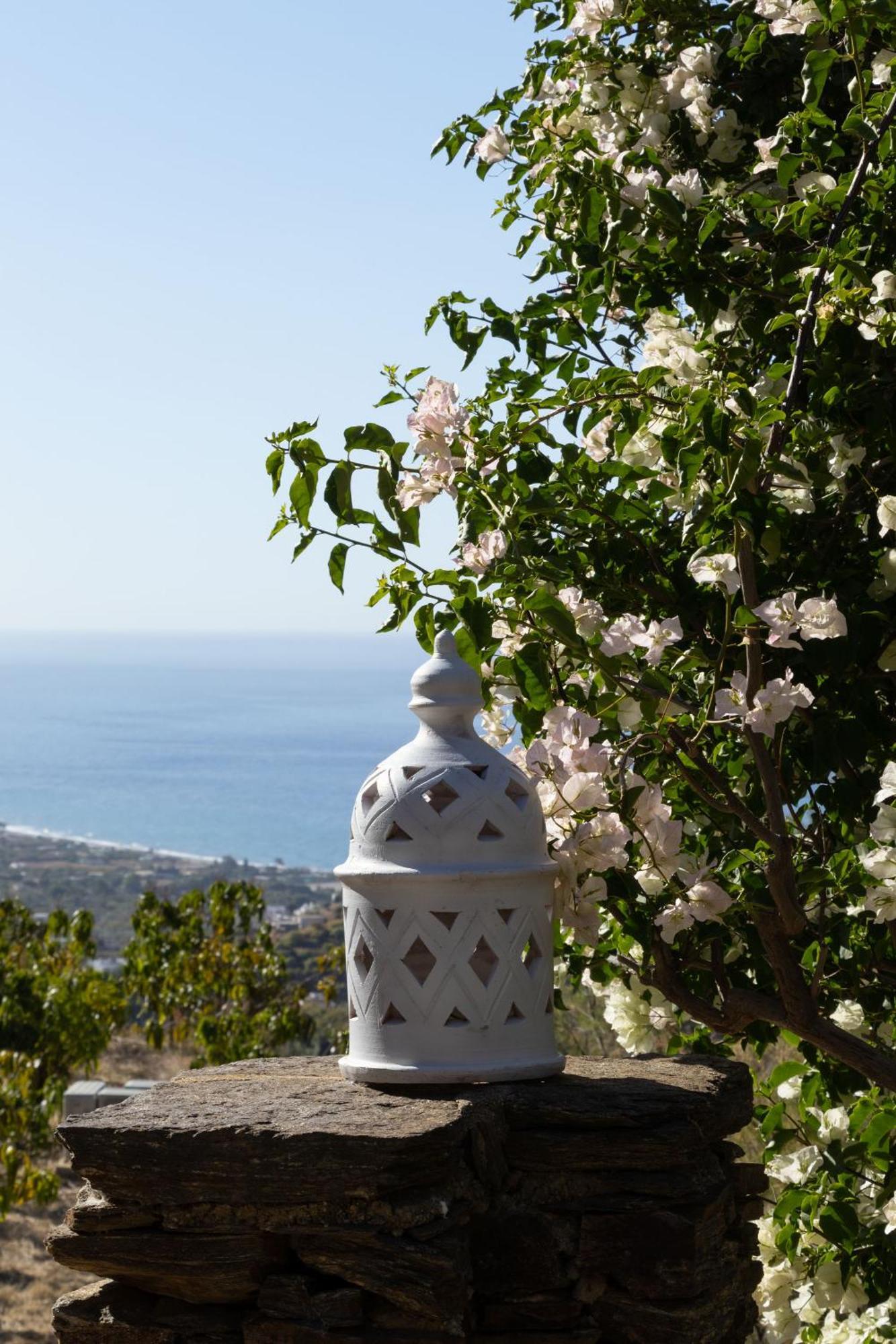 La Casa Del Burro Bed and Breakfast Nerja Exteriör bild