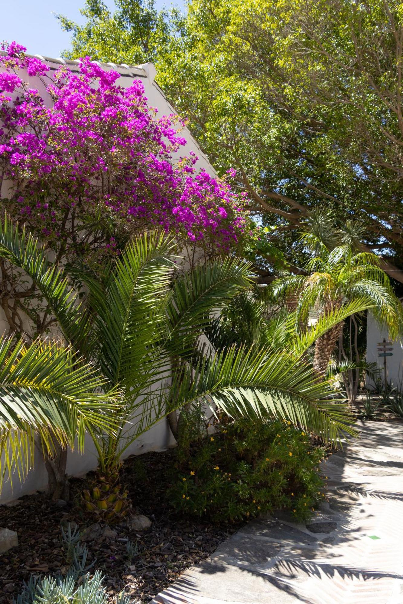 La Casa Del Burro Bed and Breakfast Nerja Exteriör bild